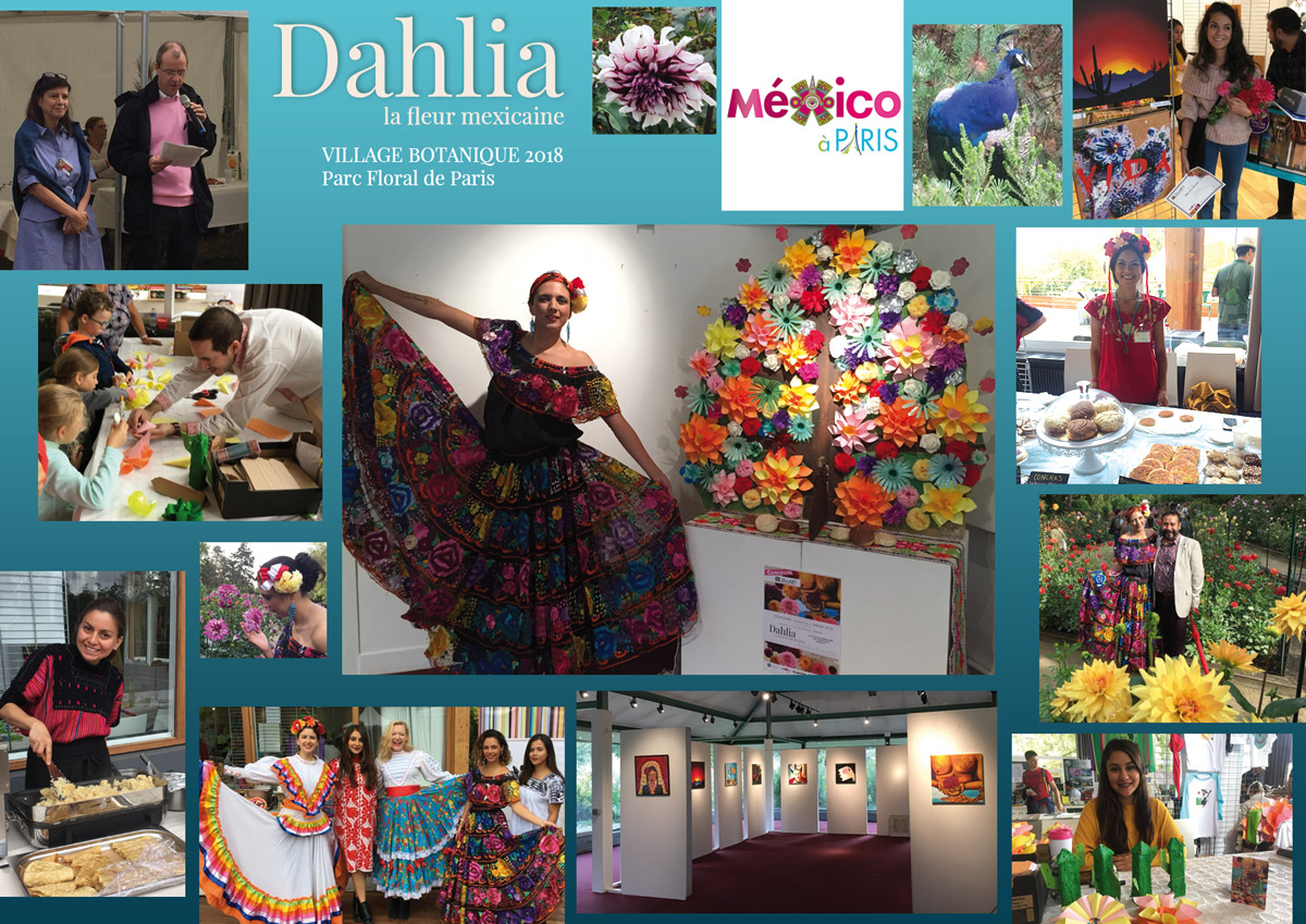 Dalia – Villa Botánica