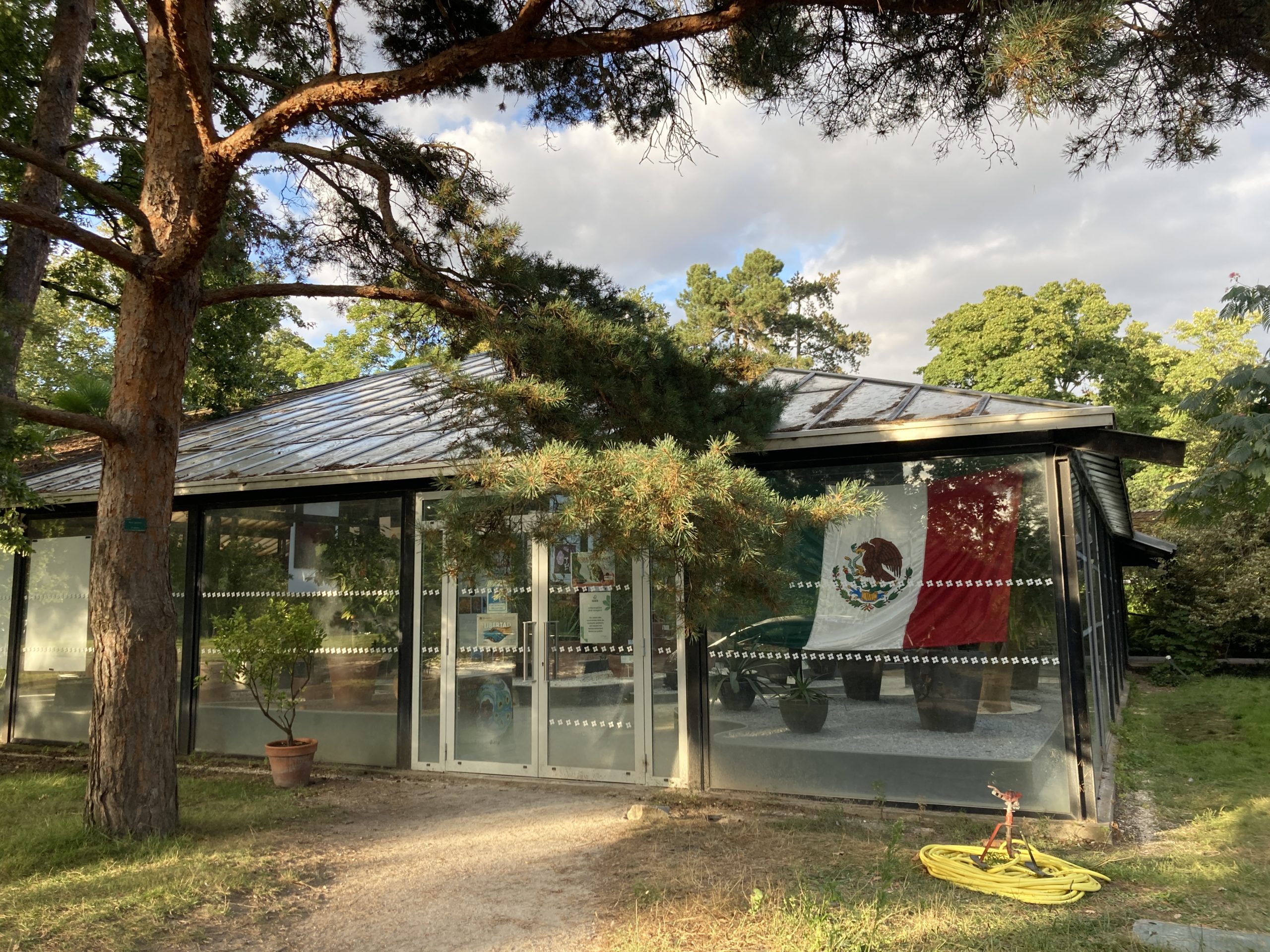 Déjeuner Spécial Fiesta Mexicana